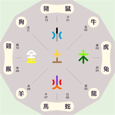 紫字五行|紫字的五行属什么